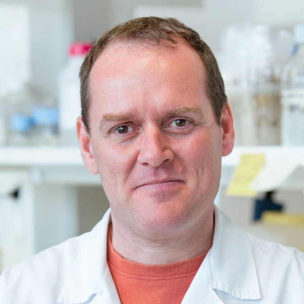 Diego-clemente-web Diego Clemente: Ponente Congreso Internacional de Neurociencia WOP Konekta