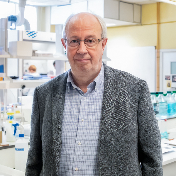 Ramon-Martinez-Manez-web Ramón Martínez-Náñez: Ponente Congreso Internacional de Neurociencia WOP Konekta